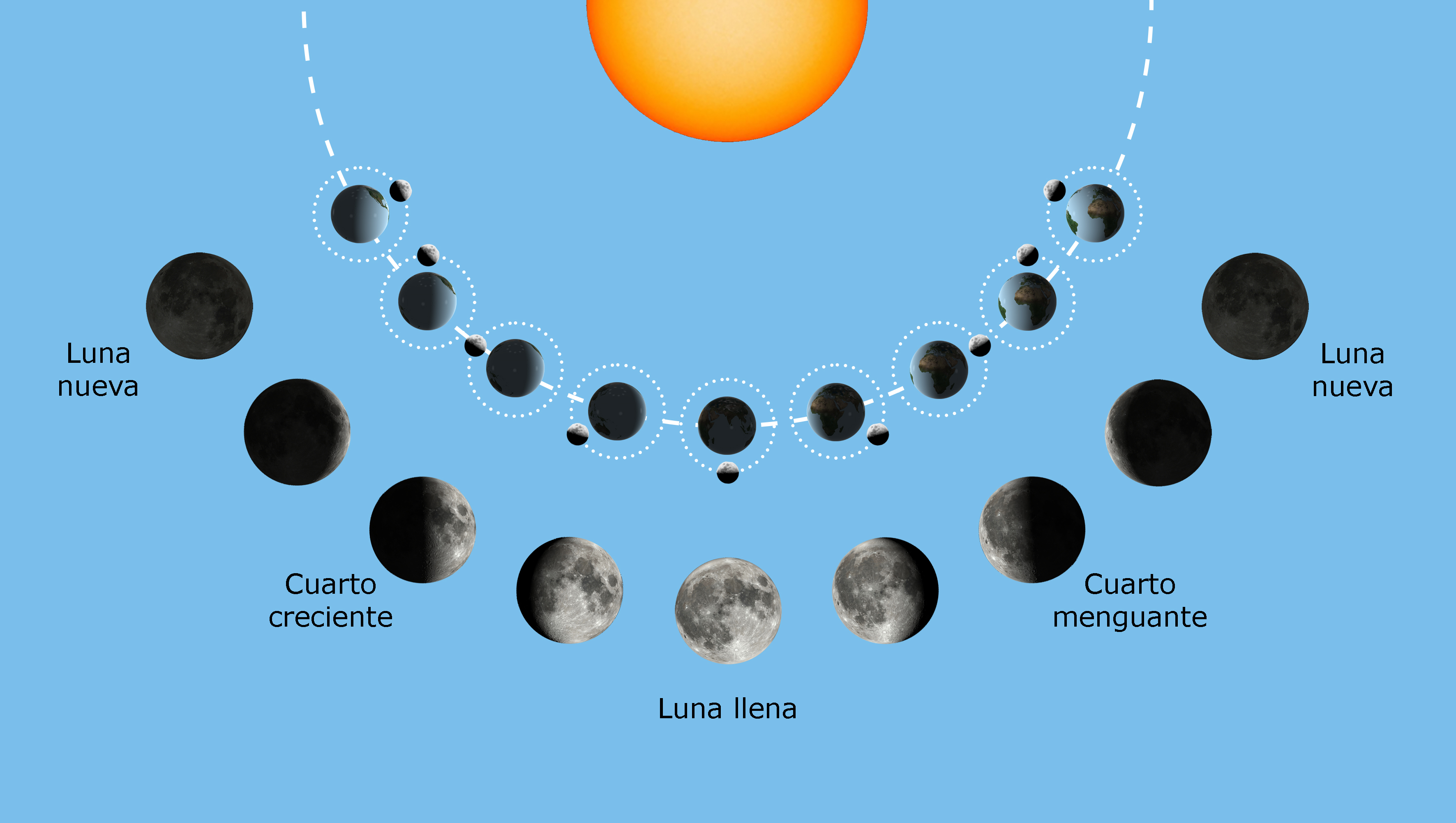 Fases de la Luna